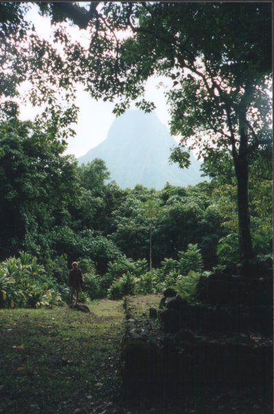Moorea